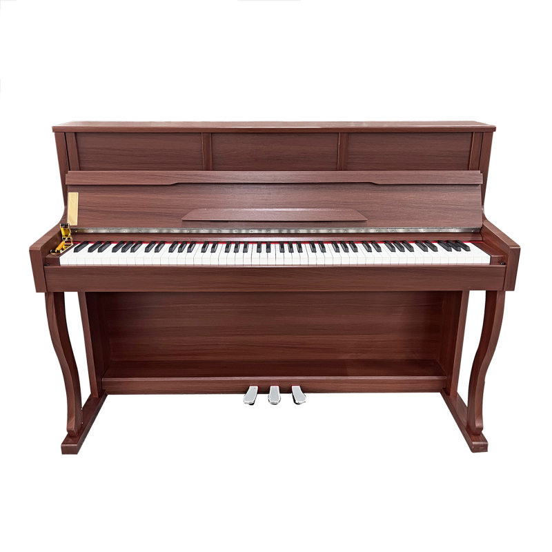 Musical Instrument Ending In A - High End Digital Piano Professional Luxury