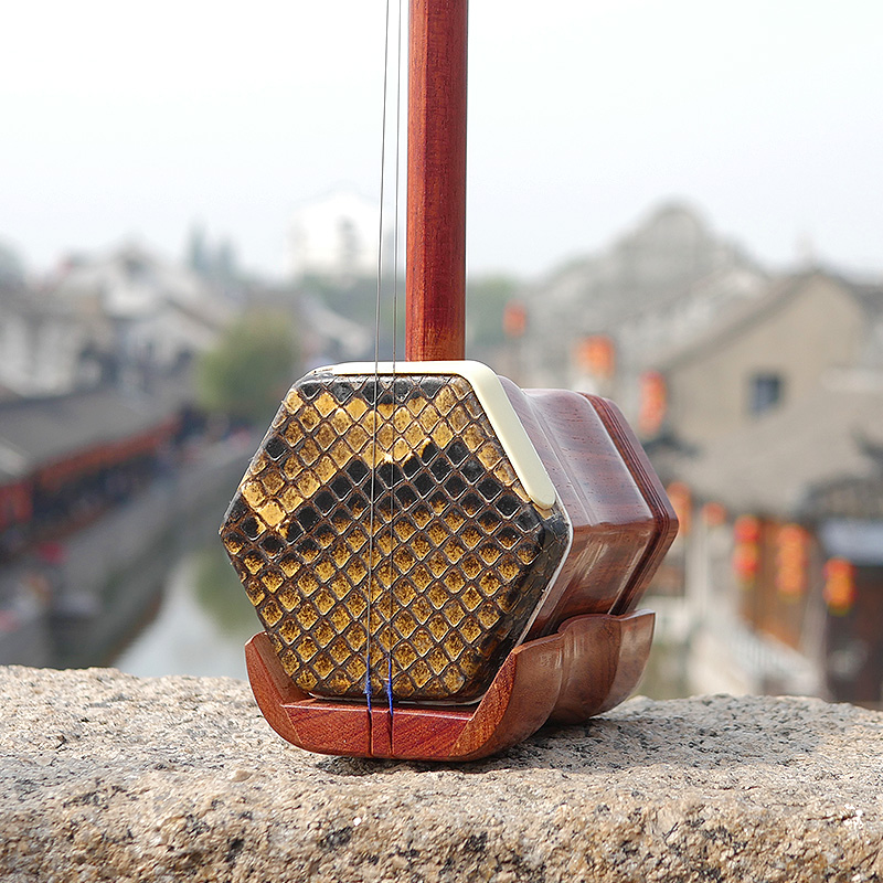 Professional Dunhuang Brand 06 - đánh giá và giá Musical Instrument All