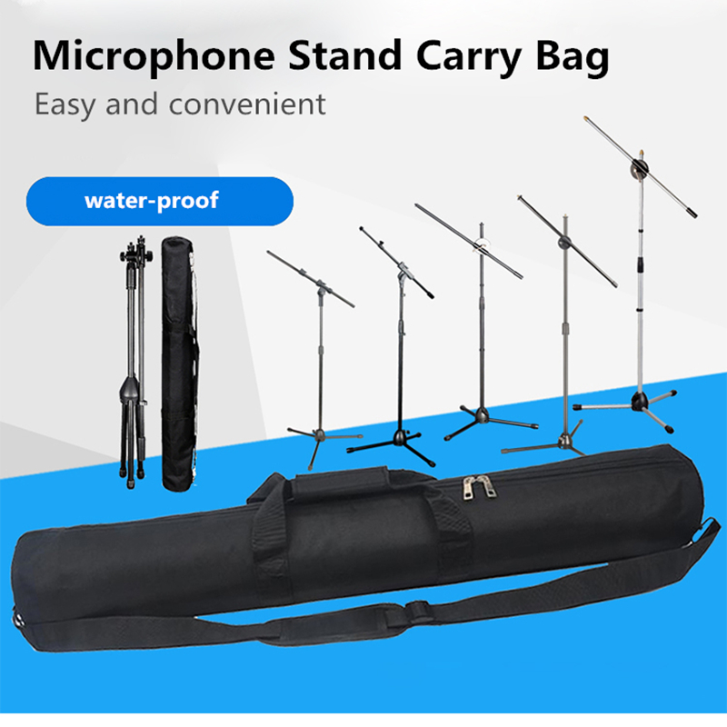 1 Micro Chuyên Nghiệp Đứng Tra - đánh giá và giá Musical Instrument Kit