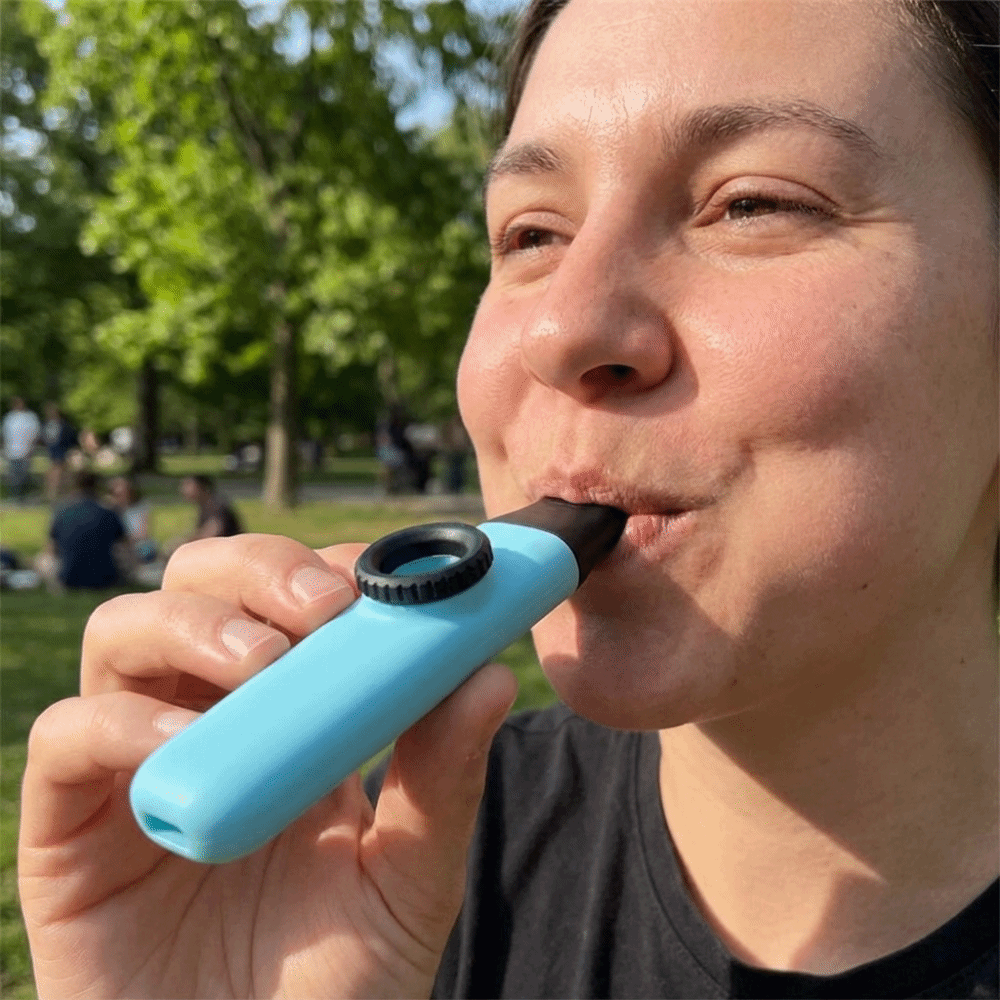 Funny Portable Mini Kazoo Flut - đánh giá và giá Musical Instrument Easy To Learn For Adults