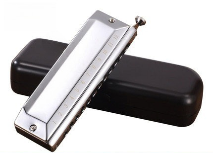 Semi-Chromatic Harmonica 12 Ho - đánh giá và giá Musical Instrument Easy To Learn For Adults